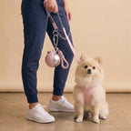 Sfera- Portable Travel Flask 10oz